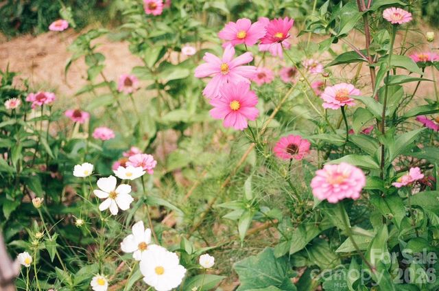 4401 Meadows Town Road, Marshall, NC 28753
