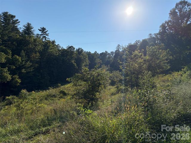 4401 Meadows Town Road, Marshall, NC 28753