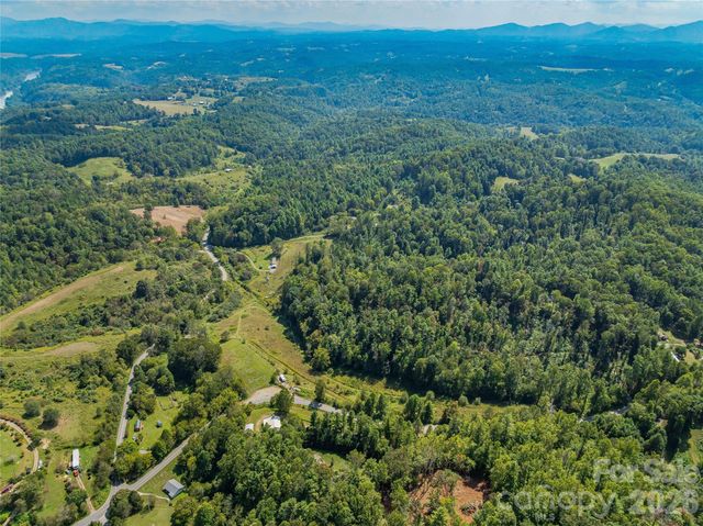 4401 Meadows Town Road, Marshall, NC 28753