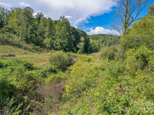 4401 Meadows Town Road, Marshall, NC 28753