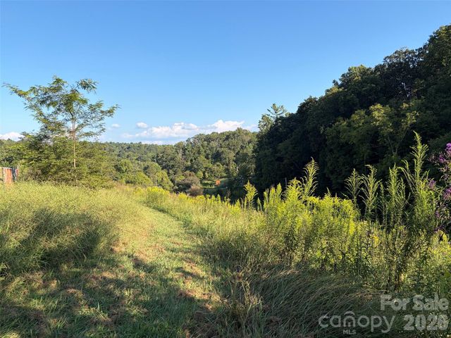 4401 Meadows Town Road, Marshall, NC 28753