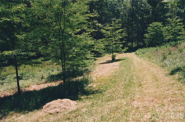4401 Meadows Town Road, Marshall, NC 28753