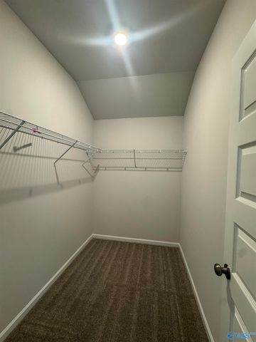305 Spanish Moss Court, New Market, AL 35761