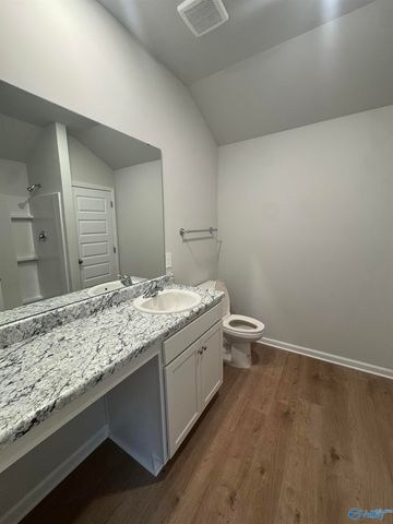 305 Spanish Moss Court, New Market, AL 35761