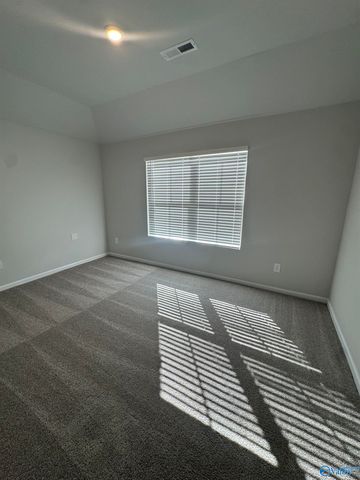 305 Spanish Moss Court, New Market, AL 35761