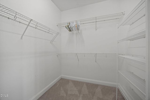 183 Lumina Place, Holly Springs, NC 27540