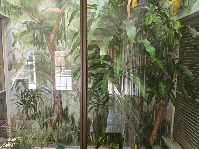 2004 Cherbourg Drive, Plano, TX 75075