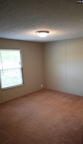 209 Ann Street, Pelion, SC 29123