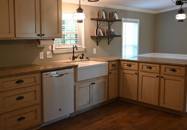 209 Ann Street, Pelion, SC 29123