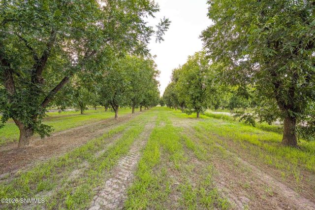 3070 Estrada Road, Las Cruces, NM 88005