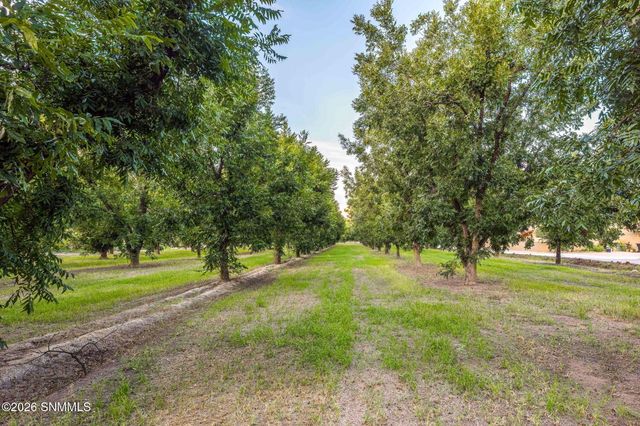 3070 Estrada Road, Las Cruces, NM 88005