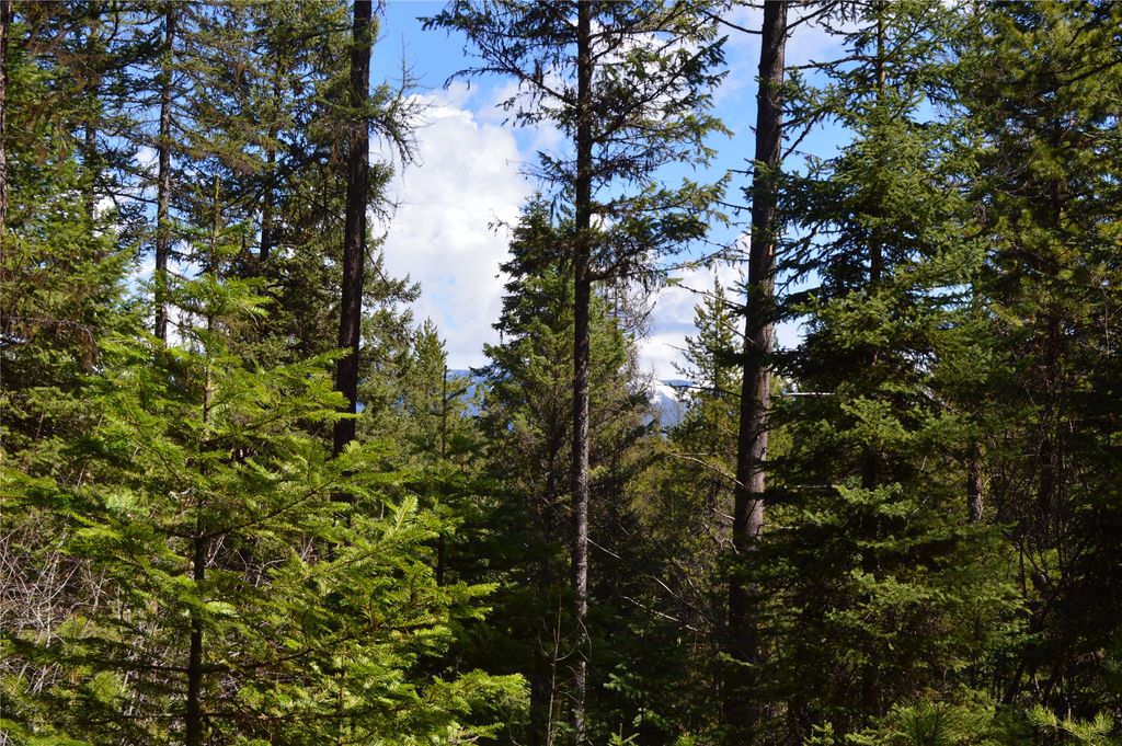 200 Whitefish Hills Drive, Whitefish, MT 59937 photo 10