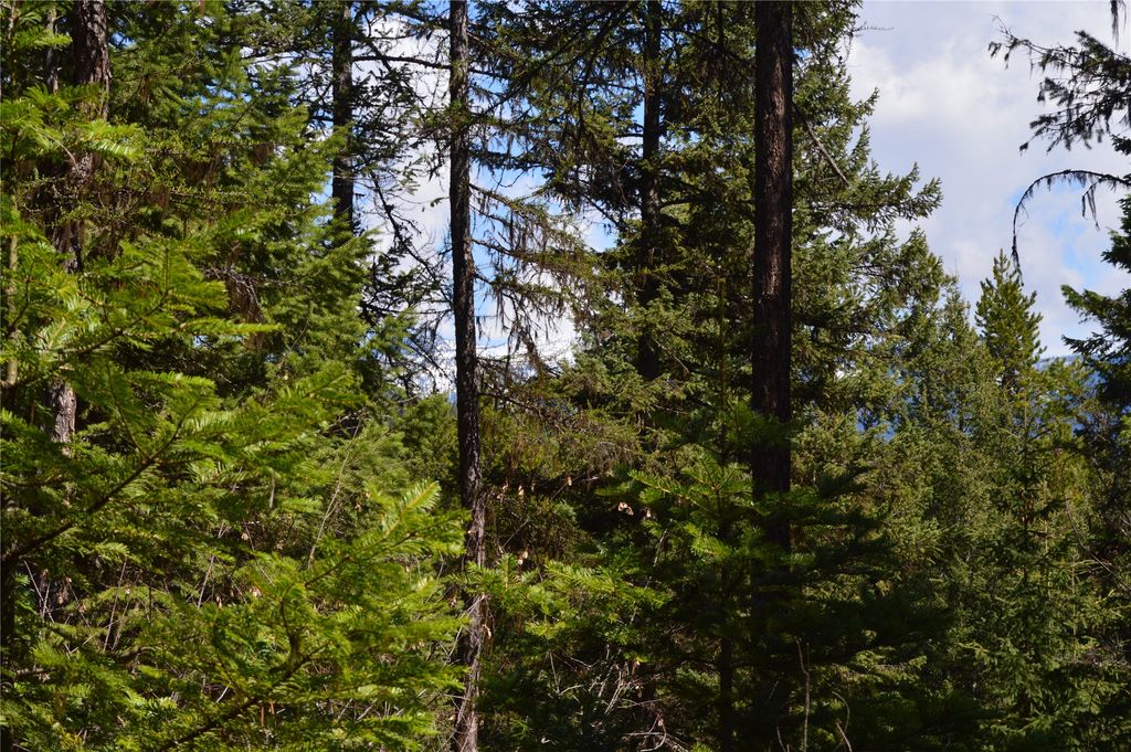 200 Whitefish Hills Drive, Whitefish, MT 59937 photo 11