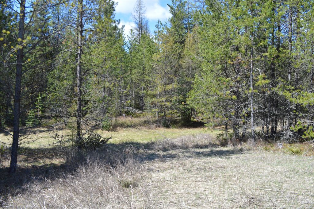 200 Whitefish Hills Drive, Whitefish, MT 59937 photo 12