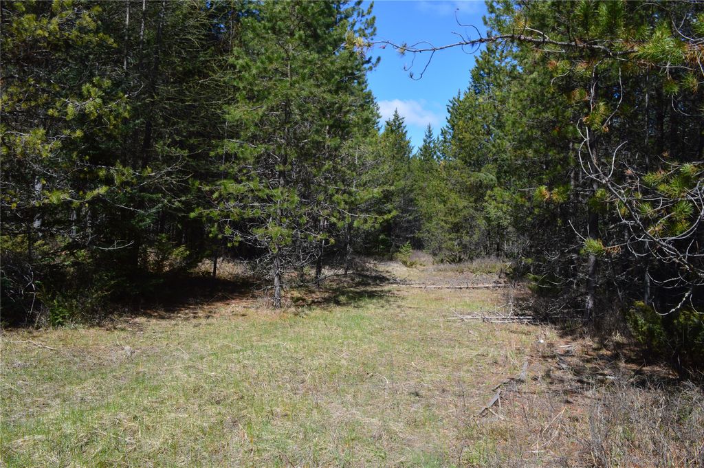 200 Whitefish Hills Drive, Whitefish, MT 59937 photo 13