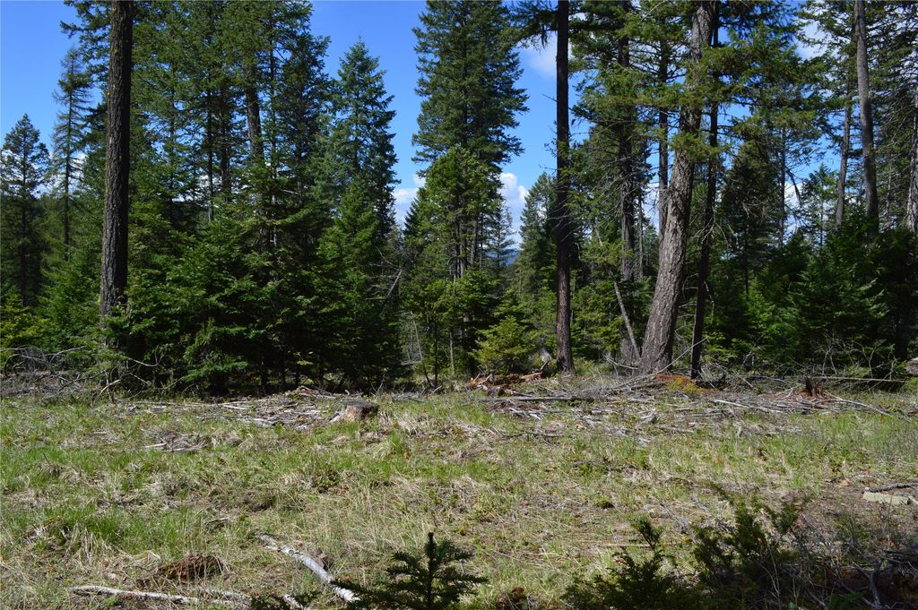 200 Whitefish Hills Drive, Whitefish, MT 59937 photo 6