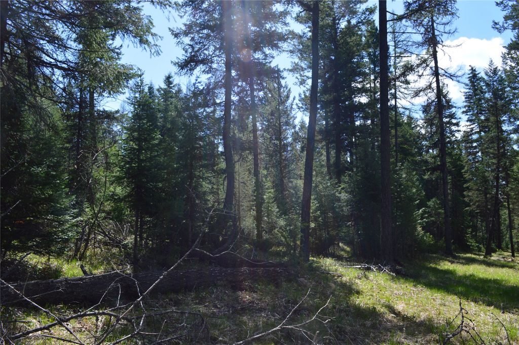 200 Whitefish Hills Drive, Whitefish, MT 59937 photo 8