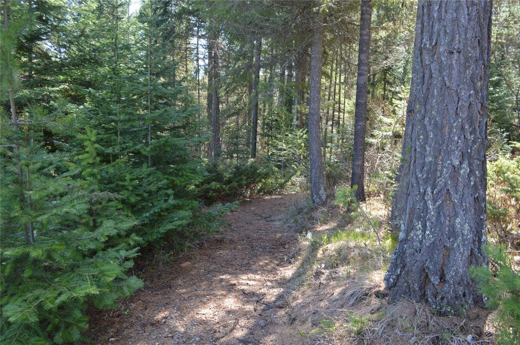 200 Whitefish Hills Drive, Whitefish, MT 59937 photo 9