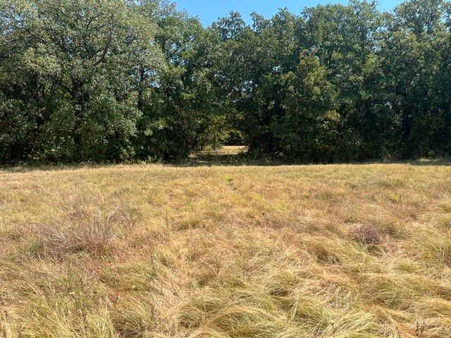 19.09 AC N Mason, Perrin, TX 78486