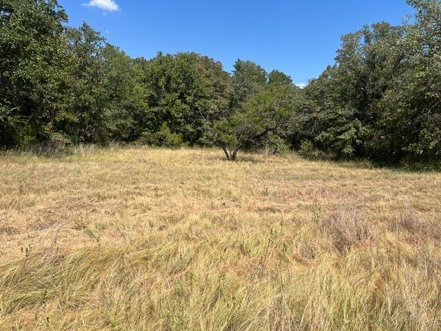 19.09 AC N Mason, Perrin, TX 78486