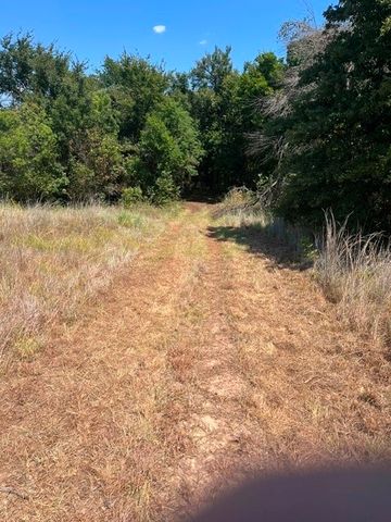 19.09 AC N Mason, Perrin, TX 78486