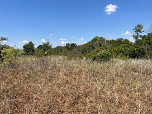 19.09 AC N Mason, Perrin, TX 78486