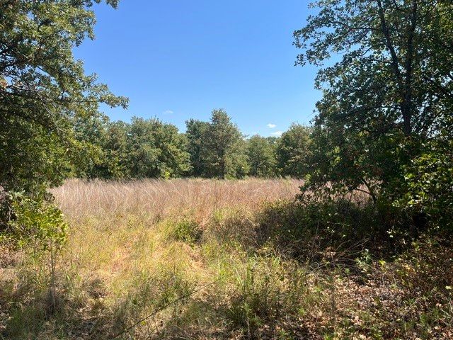 19.09 AC N Mason, Perrin, TX 78486