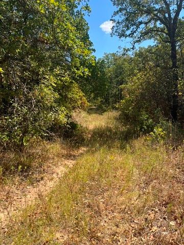 19.09 AC N Mason, Perrin, TX 78486