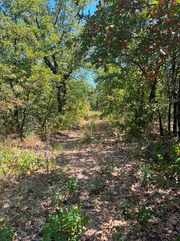 19.09 AC N Mason, Perrin, TX 78486