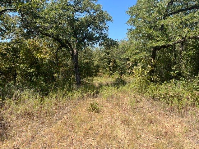 19.09 AC N Mason, Perrin, TX 78486