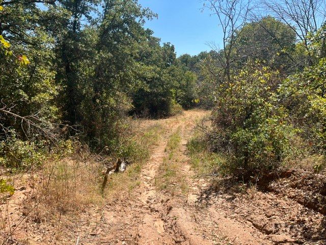 19.09 AC N Mason, Perrin, TX 78486