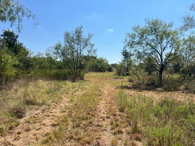 19.09 AC N Mason, Perrin, TX 78486