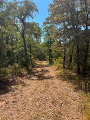 19.09 AC N Mason, Perrin, TX 78486
