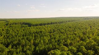 TBD Highway 287, Groveton, TX 75845
