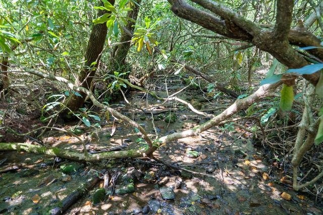 26.98 Ac Tusquittee, Hayesville, NC 28904