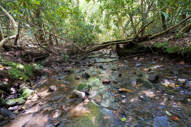 26.98 Ac Tusquittee, Hayesville, NC 28904