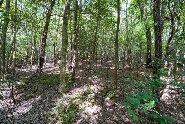 26.98 Ac Tusquittee, Hayesville, NC 28904