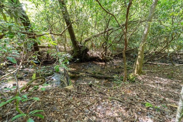 26.98 Ac Tusquittee, Hayesville, NC 28904