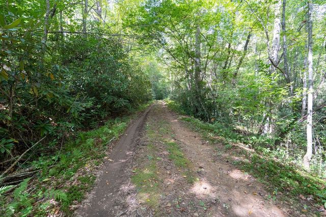 26.98 Ac Tusquittee, Hayesville, NC 28904