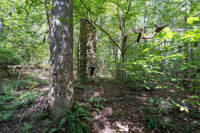 26.98 Ac Tusquittee, Hayesville, NC 28904