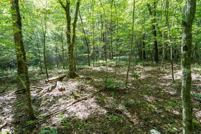 26.98 Ac Tusquittee, Hayesville, NC 28904