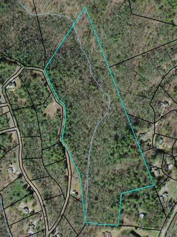 26.98 Ac Tusquittee, Hayesville, NC 28904