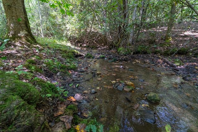 26.98 Ac Tusquittee, Hayesville, NC 28904