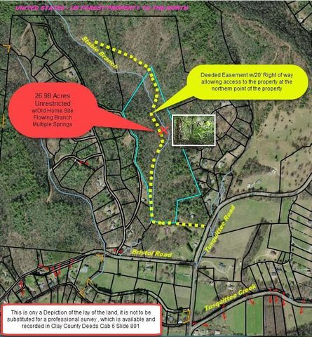 26.98 Ac Tusquittee, Hayesville, NC 28904