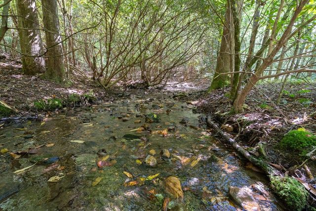 26.98 Ac Tusquittee, Hayesville, NC 28904