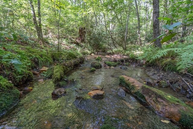 26.98 Ac Tusquittee, Hayesville, NC 28904