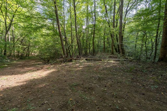 26.98 Ac Tusquittee, Hayesville, NC 28904