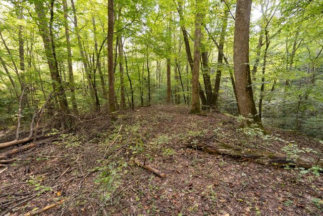 26.98 Ac Tusquittee, Hayesville, NC 28904