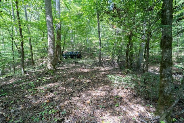 26.98 Ac Tusquittee, Hayesville, NC 28904