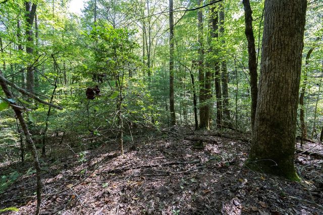 26.98 Ac Tusquittee, Hayesville, NC 28904